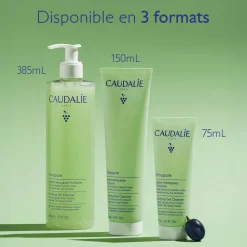 Gelée Nettoyante à l'Acide Salicylique Purifiante - 385mL